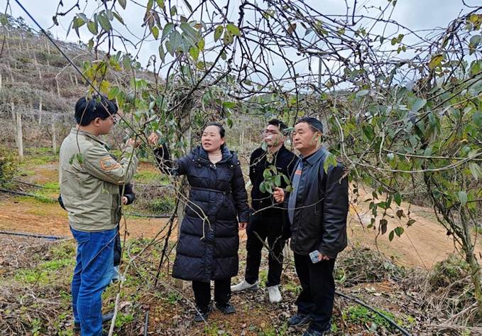 892da43497d77158419cd230fbd1b353